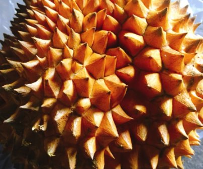 蜜汁烤榴莲的做法步骤图，蜜汁烤榴莲怎么做