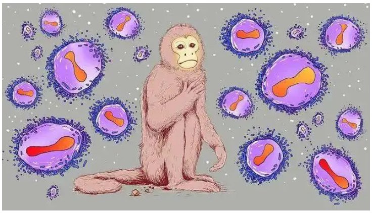 最近又有一个新的病毒