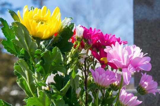 2023年12月13日是第几个国家公祭日