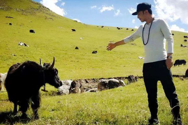 相信明天的天空更蔚蓝是什么歌