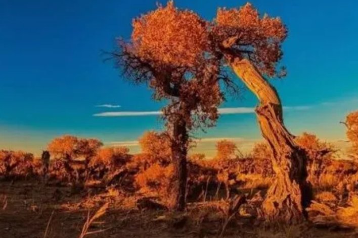 仍然的近义词是什么