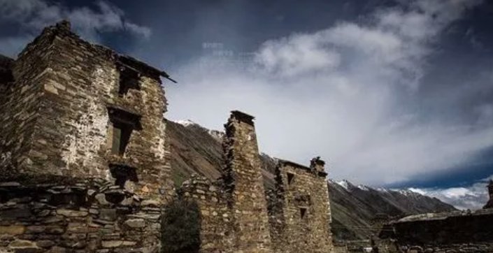 女主叫洛稚初的重生小说