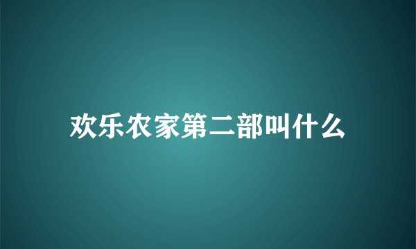 欢乐农家第二部叫什么