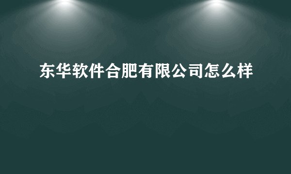 东华软件合肥有限公司怎么样