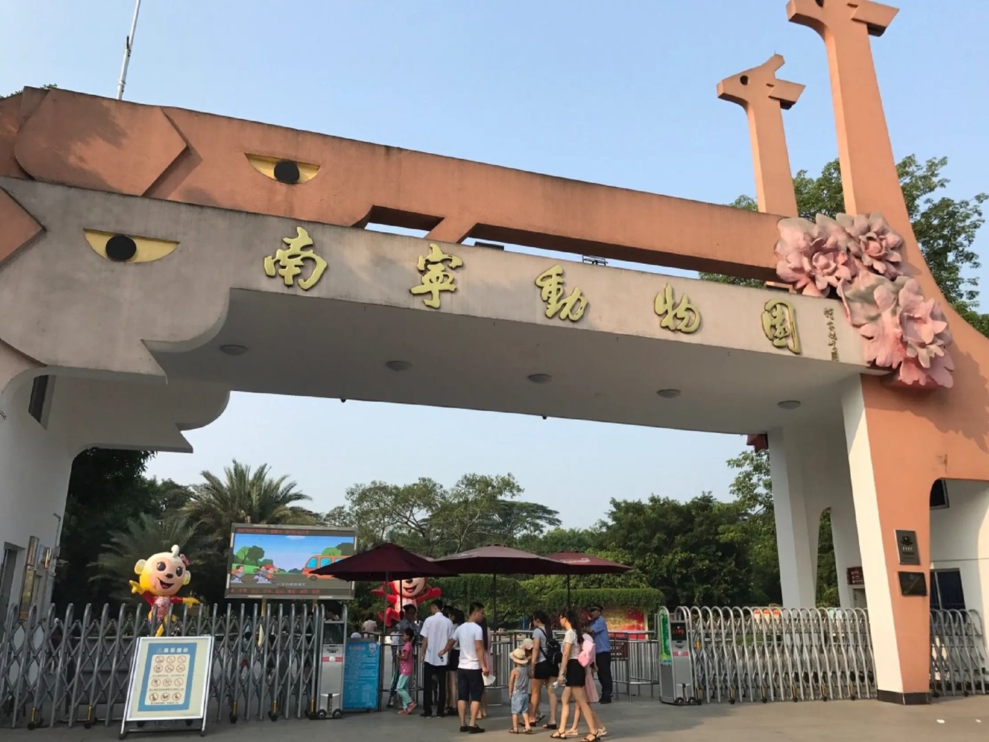 现实版疯狂动物城！南宁动物园回应“不正经”动物，专家对此是如何解读的？