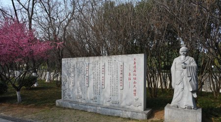 马昭是什么历史人物