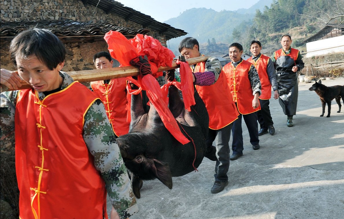 绵阳现代版庖丁解牛，小伙蒙眼剔猪骨，其动作是如何做到行云如流水的？