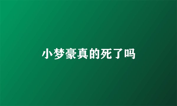 小梦豪真的死了吗