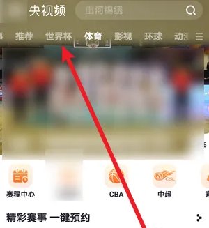 2022世界杯在哪里看