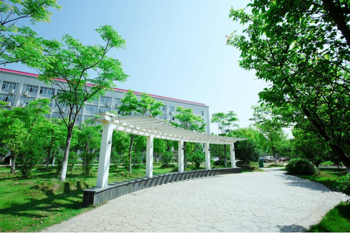 湖北科技学院2022专升本录取分数线