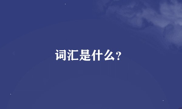词汇是什么？