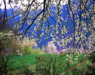 朱自清写的春的赏析十句