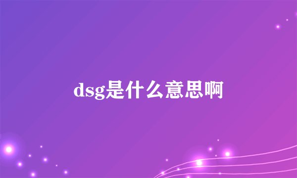 dsg是什么意思啊