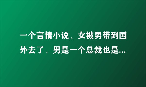 一个言情小说、女被男带到国外去了、男是一个总裁也是以一个组织里的人、里面的人都有个戒指只给自己的伴