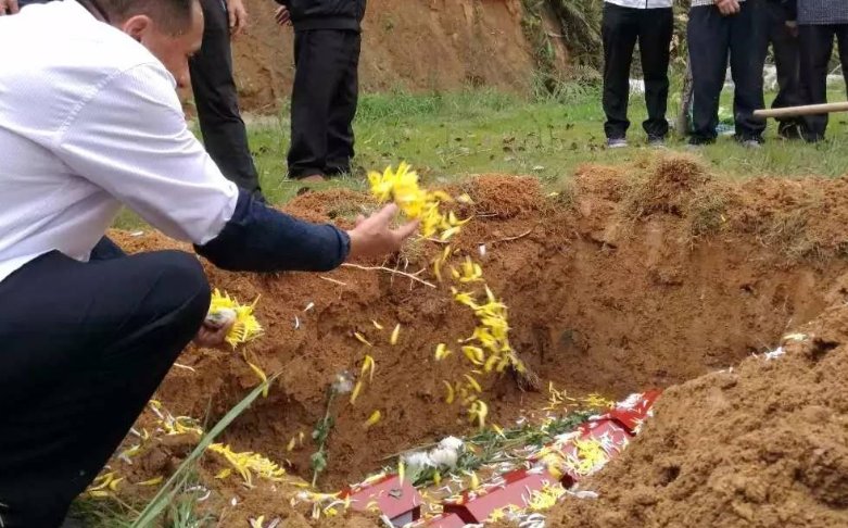 葬的拼音组词和部首