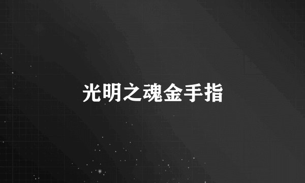 光明之魂金手指