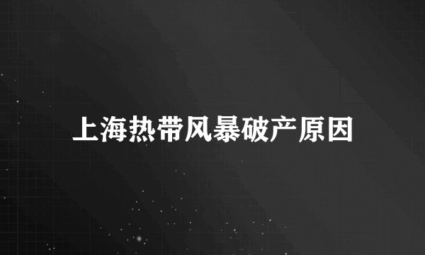 上海热带风暴破产原因
