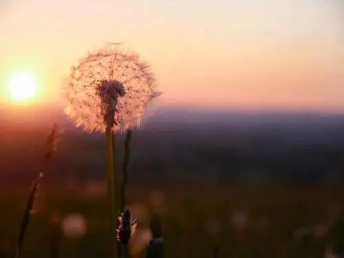 怎么样才能抓紧时间爱一个人？