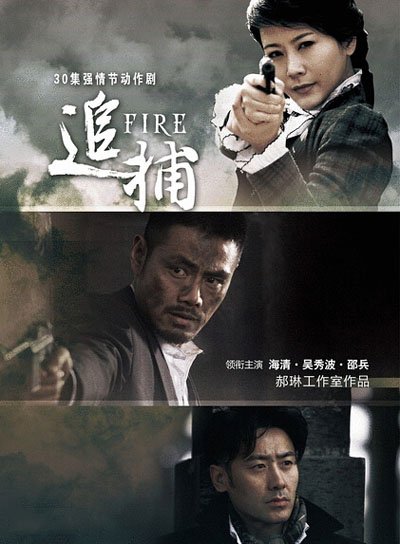 追捕电视剧的剧情介绍