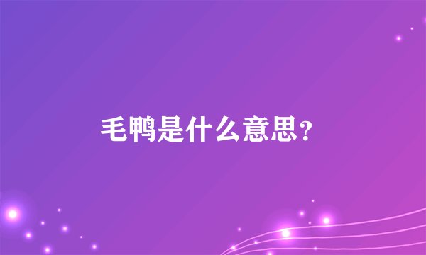 毛鸭是什么意思？