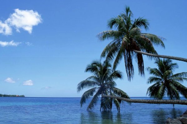 暖流的意思两种