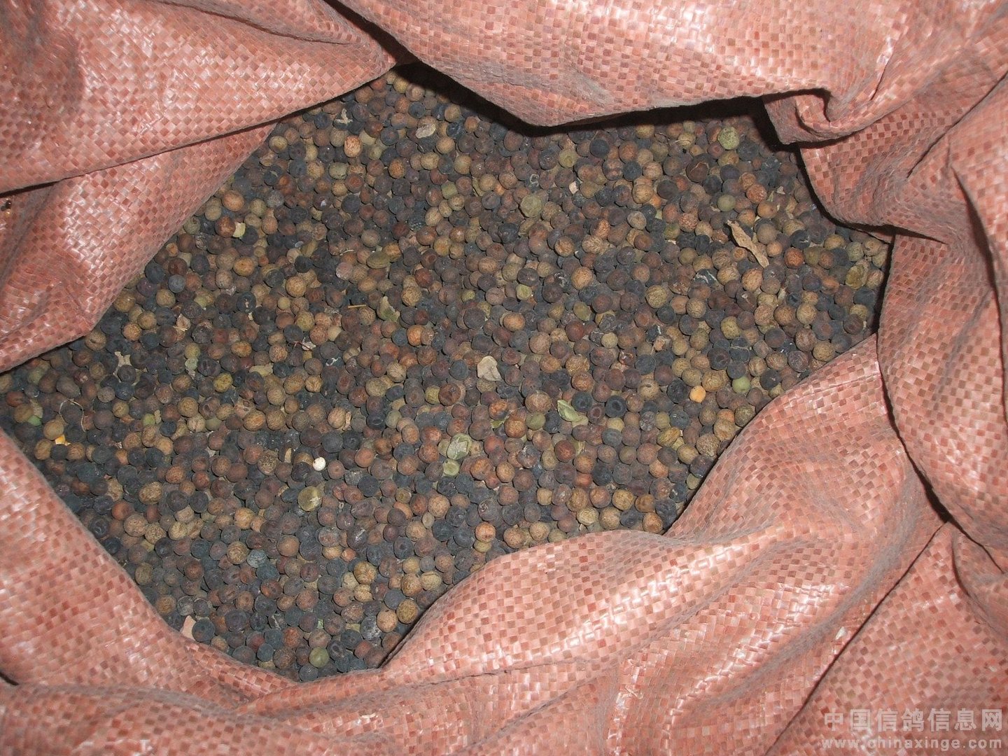 中国饲料信息网的介绍