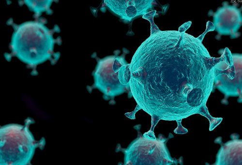 新冠病毒最怕四种人