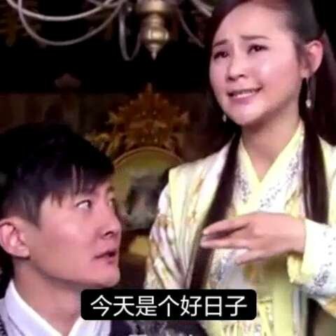 林圆的经典台词