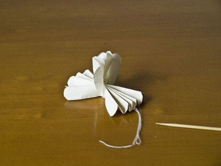 小白花的做法是什么？