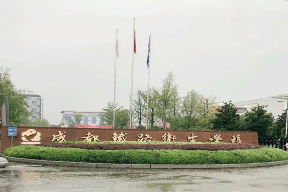 成都成铁卫校分数线