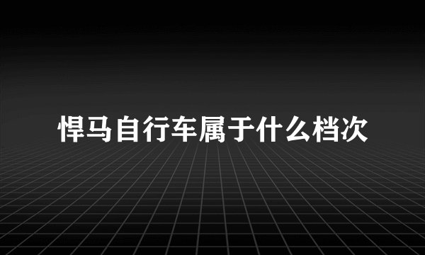 悍马自行车属于什么档次