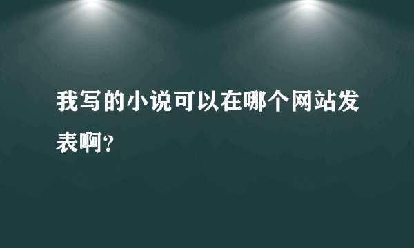 我写的小说可以在哪个网站发表啊？