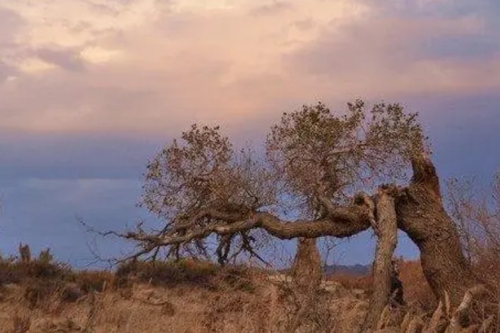 仍然的近义词是什么