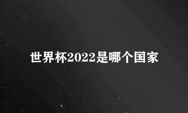 世界杯2022是哪个国家