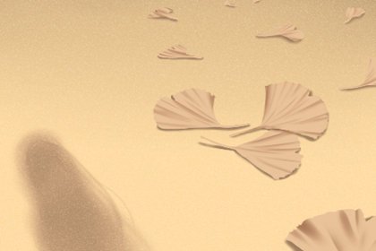 2023年2月份结婚黄道吉日一览查询