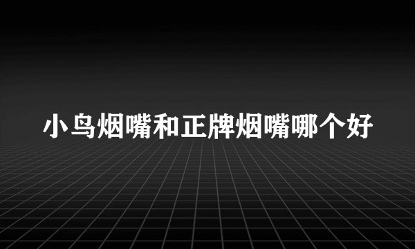 小鸟烟嘴和正牌烟嘴哪个好