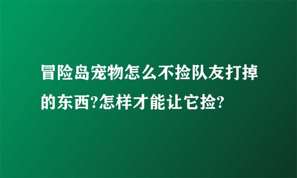 冒险岛宠物怎么不捡队友打掉的东西?怎样才能让它捡?
