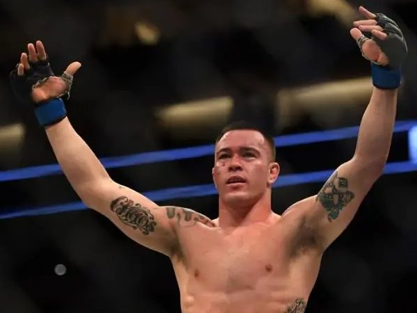 ufc次中最新排名