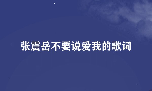 张震岳不要说爱我的歌词