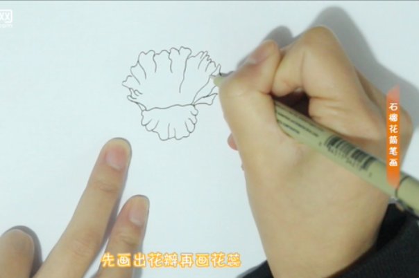 怎样画石榴花简笔画