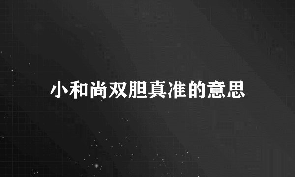 小和尚双胆真准的意思