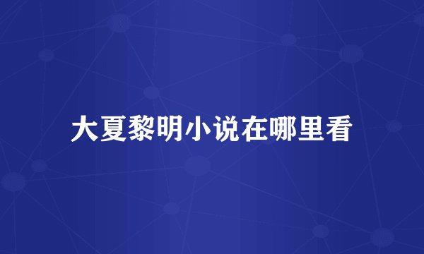 大夏黎明小说在哪里看