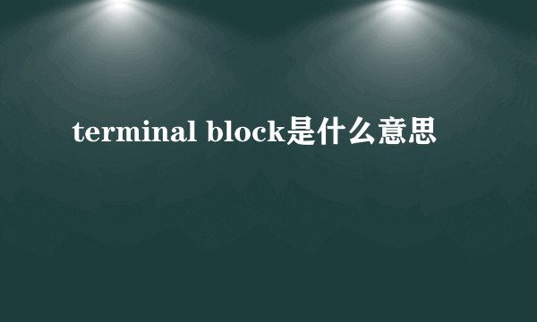 terminal block是什么意思