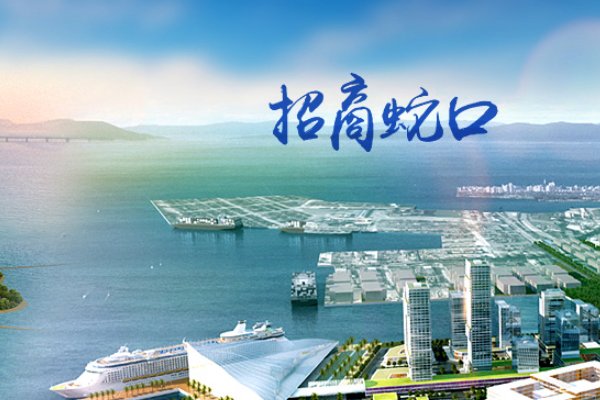 央企四大房地产