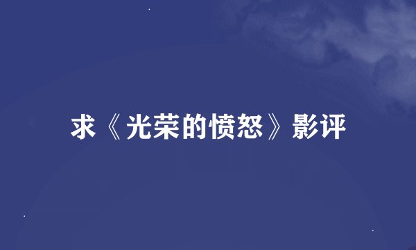 求《光荣的愤怒》影评
