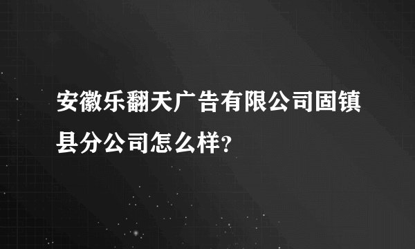安徽乐翻天广告有限公司固镇县分公司怎么样？