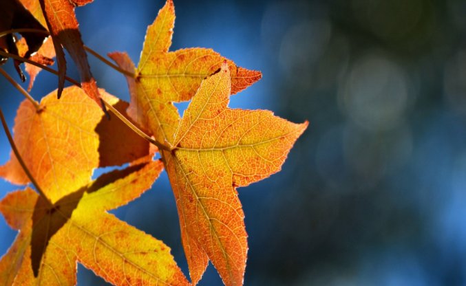 男主叫陆景遇女主叫沈晴的小说叫什么名字?