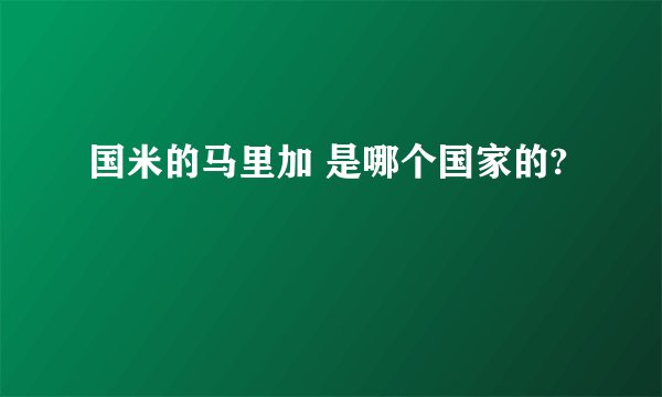 国米的马里加 是哪个国家的?