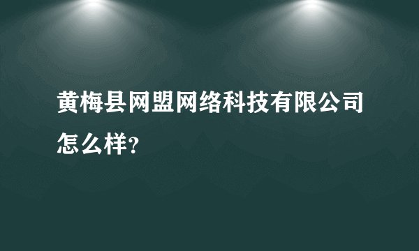 黄梅县网盟网络科技有限公司怎么样？
