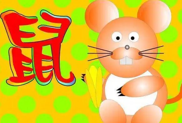 96年是什么生肖年？